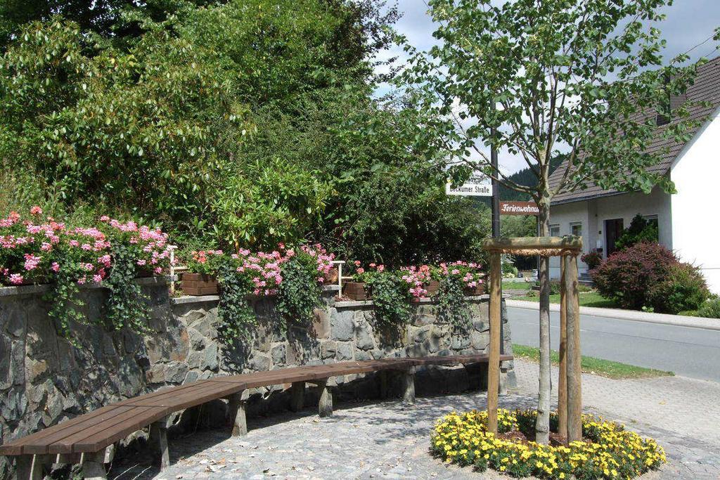 Haus Mittelberg Apartment Olsberg Ngoại thất bức ảnh