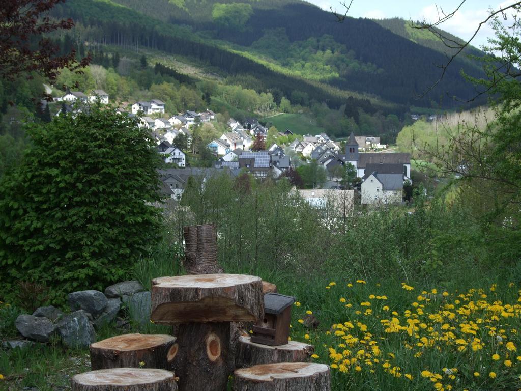 Haus Mittelberg Apartment Olsberg Phòng bức ảnh