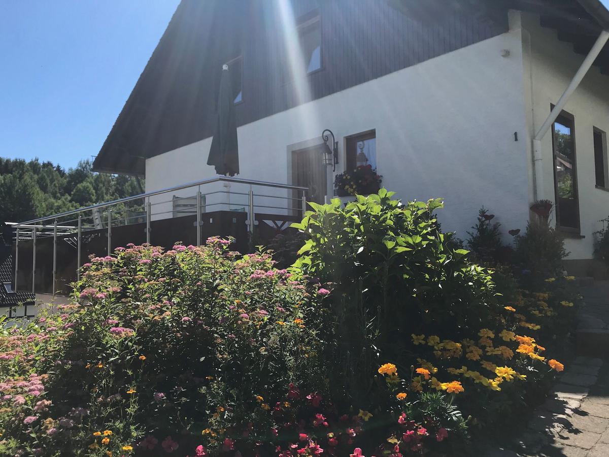 Haus Mittelberg Apartment Olsberg Ngoại thất bức ảnh